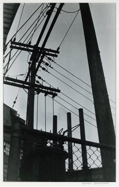 untitled abstraction (Electrical Wires)