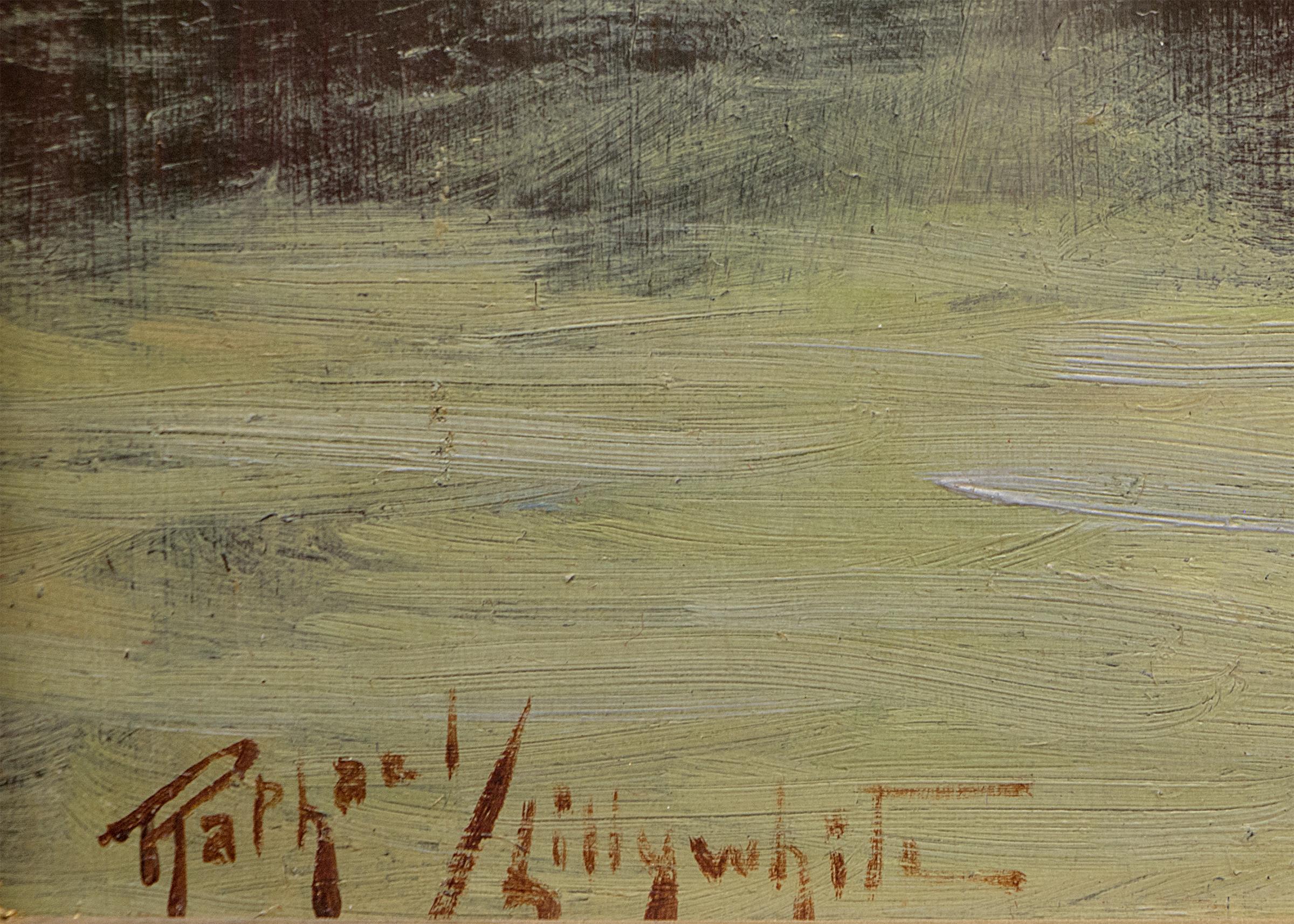 raphael lillywhite