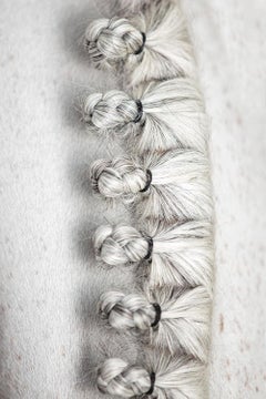 Adornay, Portrait de cheval, Photographie équestre