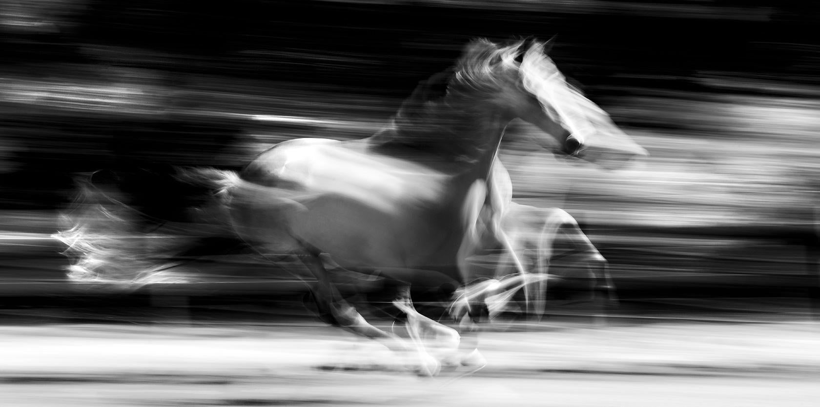 Color Photograph Raphael Macek - Avanti, Ajman, EAU, Émirats arabes unis