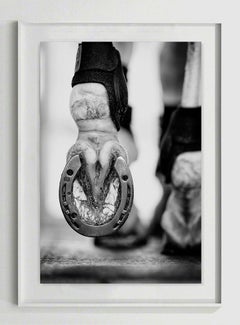 Calceus, Afresco, portrait de cheval