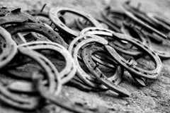 Portrait Photography