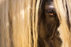 Bellezza equestre #13