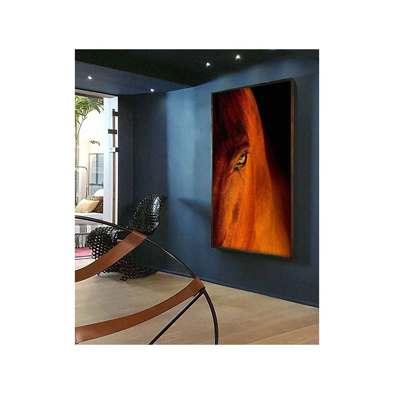 Reiter Schönheit #3 (Zeitgenössisch), Photograph, von Raphael Macek