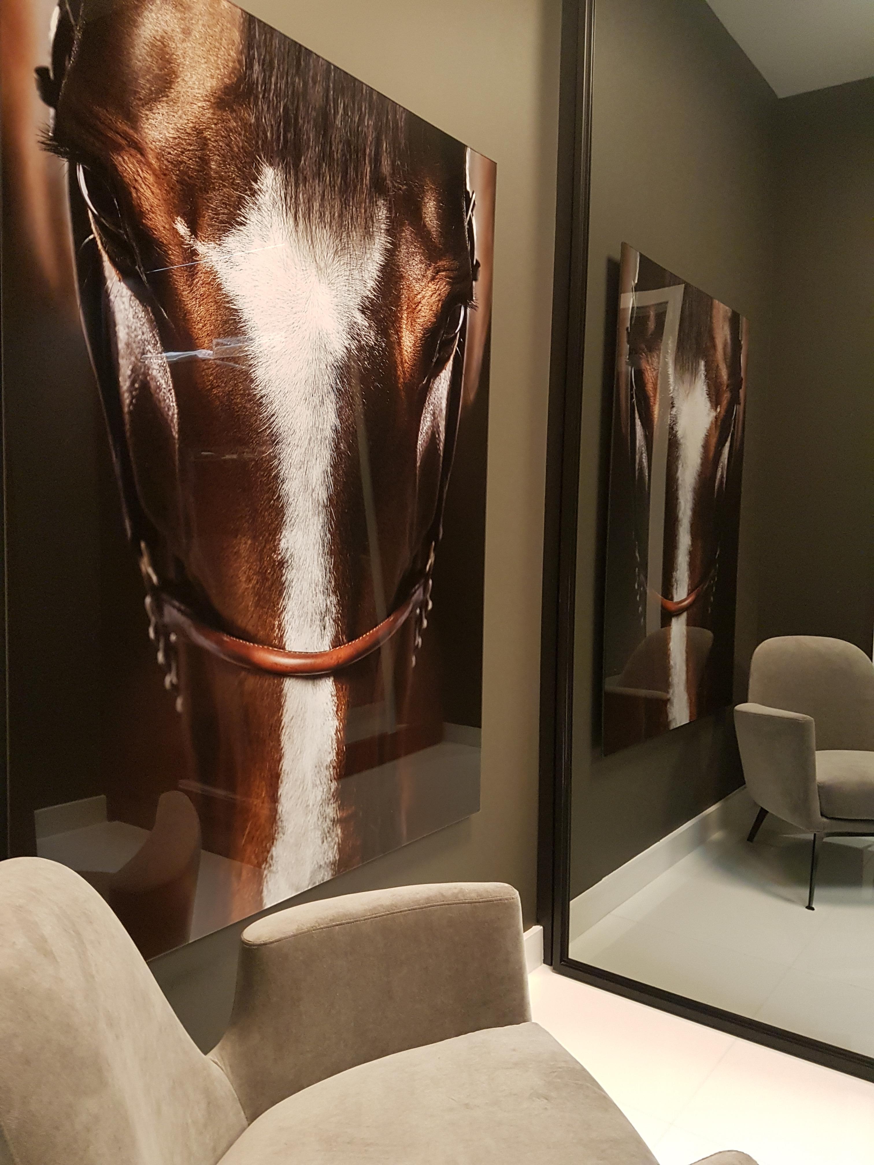 Immersion - Horse Portrait Fine Art Photography - Black Portrait Photograph by Raphael Macek