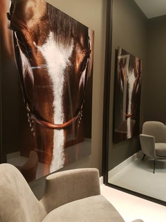 Immersion - Horse Portrait Fine Art Photography