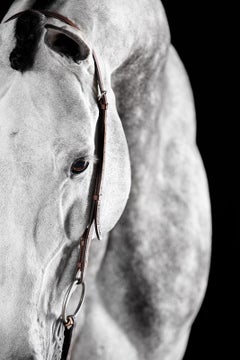 Miranti ( Portrait d'équitation, beauté d'équitation)
