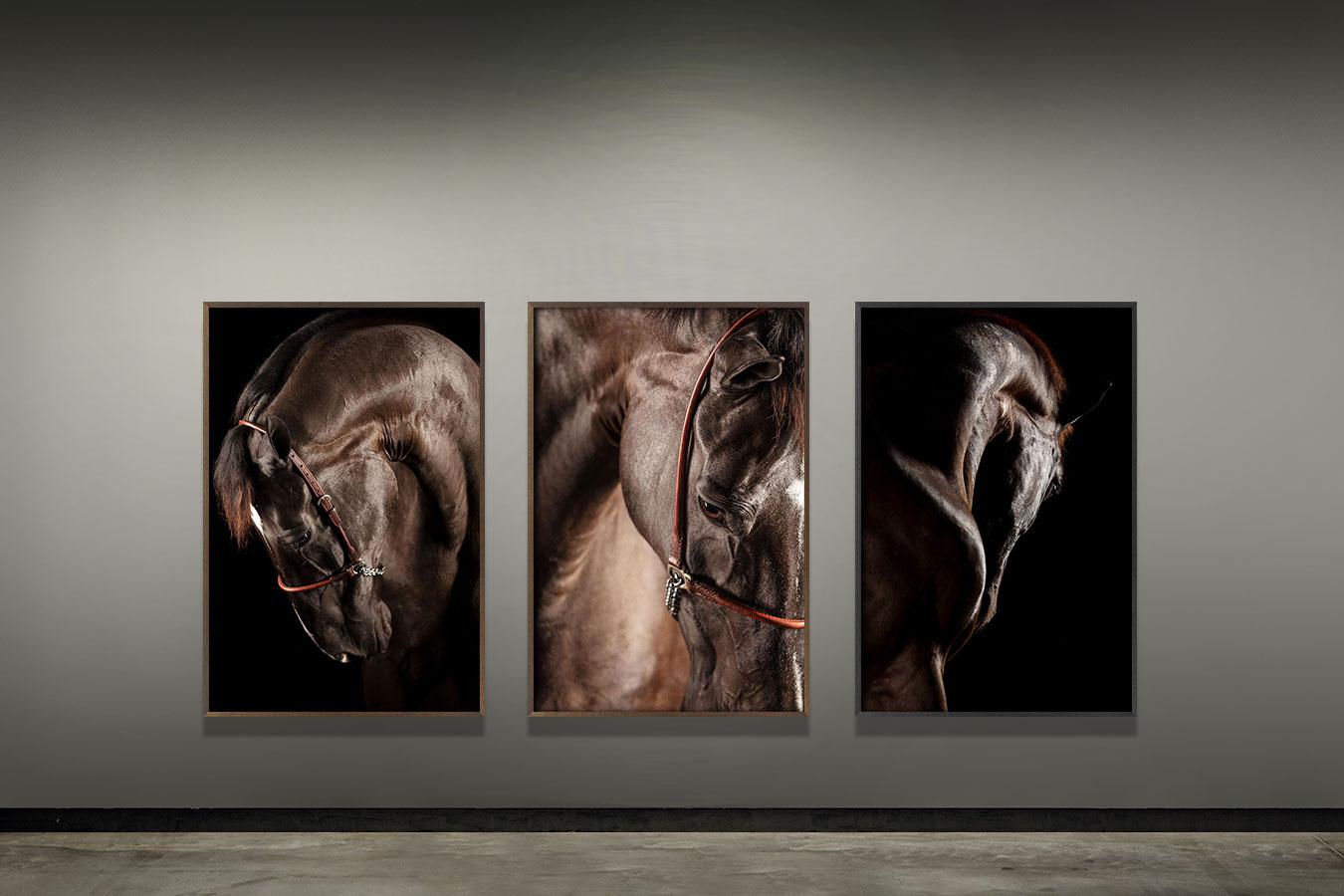 Music, Afresco, Horse Portrait - Contemporary Print by Raphael Macek