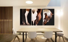 Partibus, UAE, United Arab Emirates