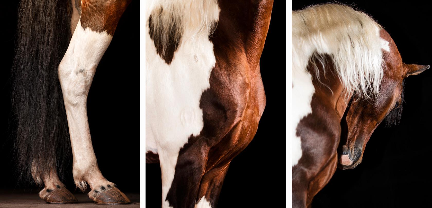 Partibus, EAU, Émirats arabes unis