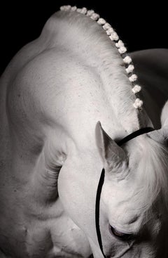 Raphael Macek - Lucernis, Photographie 2016, Imprimé d'après