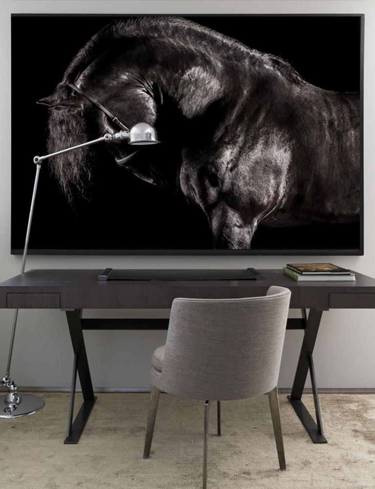 Reverentia, Pays-Bas, Portrait de cheval, Beauté équine - Contemporain Photograph par Raphael Macek