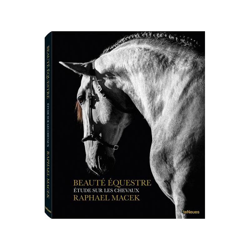 Reverentia, Pays-Bas, Portrait de cheval, beauté d'équitation - Noir Black and White Photograph par Raphael Macek
