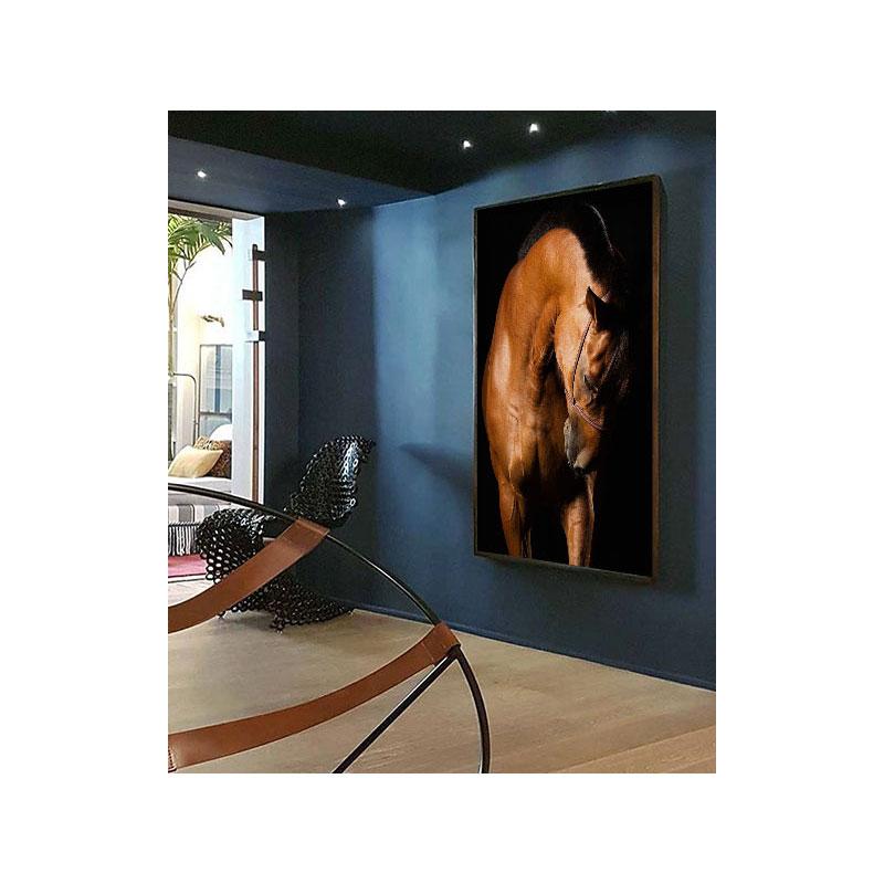 Utilita II, Wellington, United States, Horse Portrait, Equine Beauty - Contemporary Print by Raphael Macek