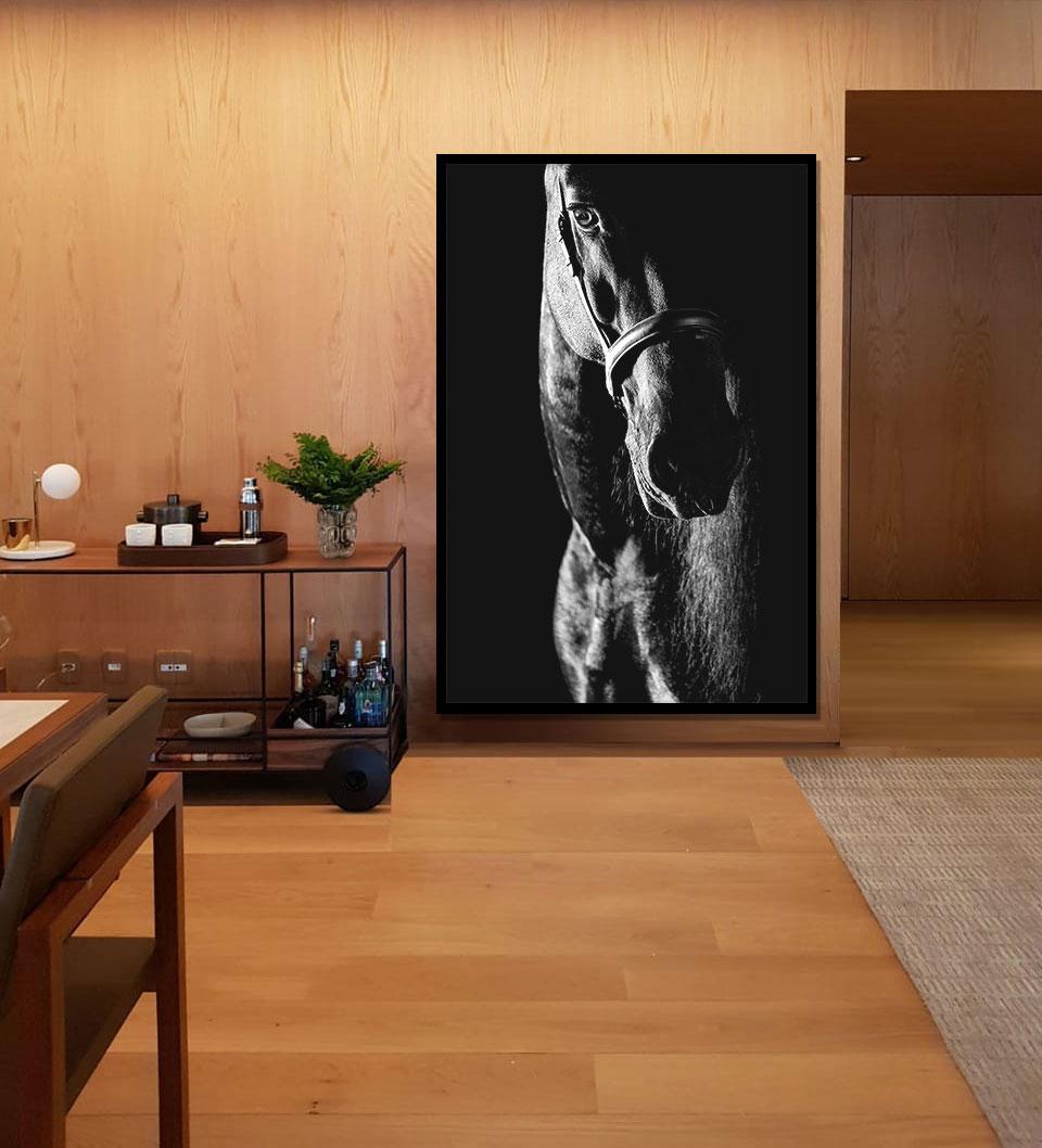 Proprius, Países Bajos, Retrato de caballo, Belleza equina - Print de Raphael Macek