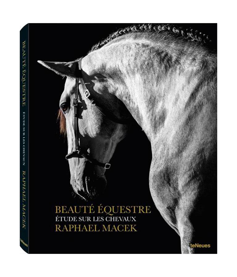 Proprius, The Netherlands, Horse Portrait, Equine Beauty - Black Portrait Photograph by Raphael Macek