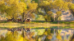 Raphael Macek - Autum Bliss, Fotografia 2018, Stampato Dopo