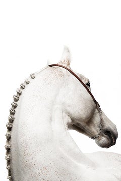 Raphael Macek - Domum (80" x 55"), Photography