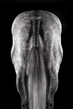 Raphael Macek – Motiv, Fotografie 2020, Nachdruck gedruckt
