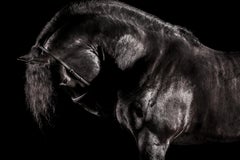 Raphael Macek - Reverentia, Photography 2015, Imprimé d'après