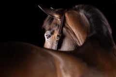 Raphael Macek – Splendidis, Fotografie 2023, Nachdruck gedruckt