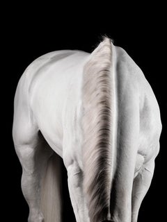 Raphael Macek - Valis, Fotografía 2023, Impresión posterior