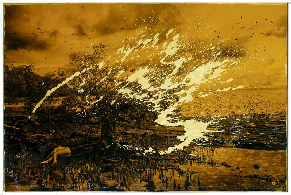 Mazzucco "Madagascar Mangrove" archival print and acrylic paint encased in resin