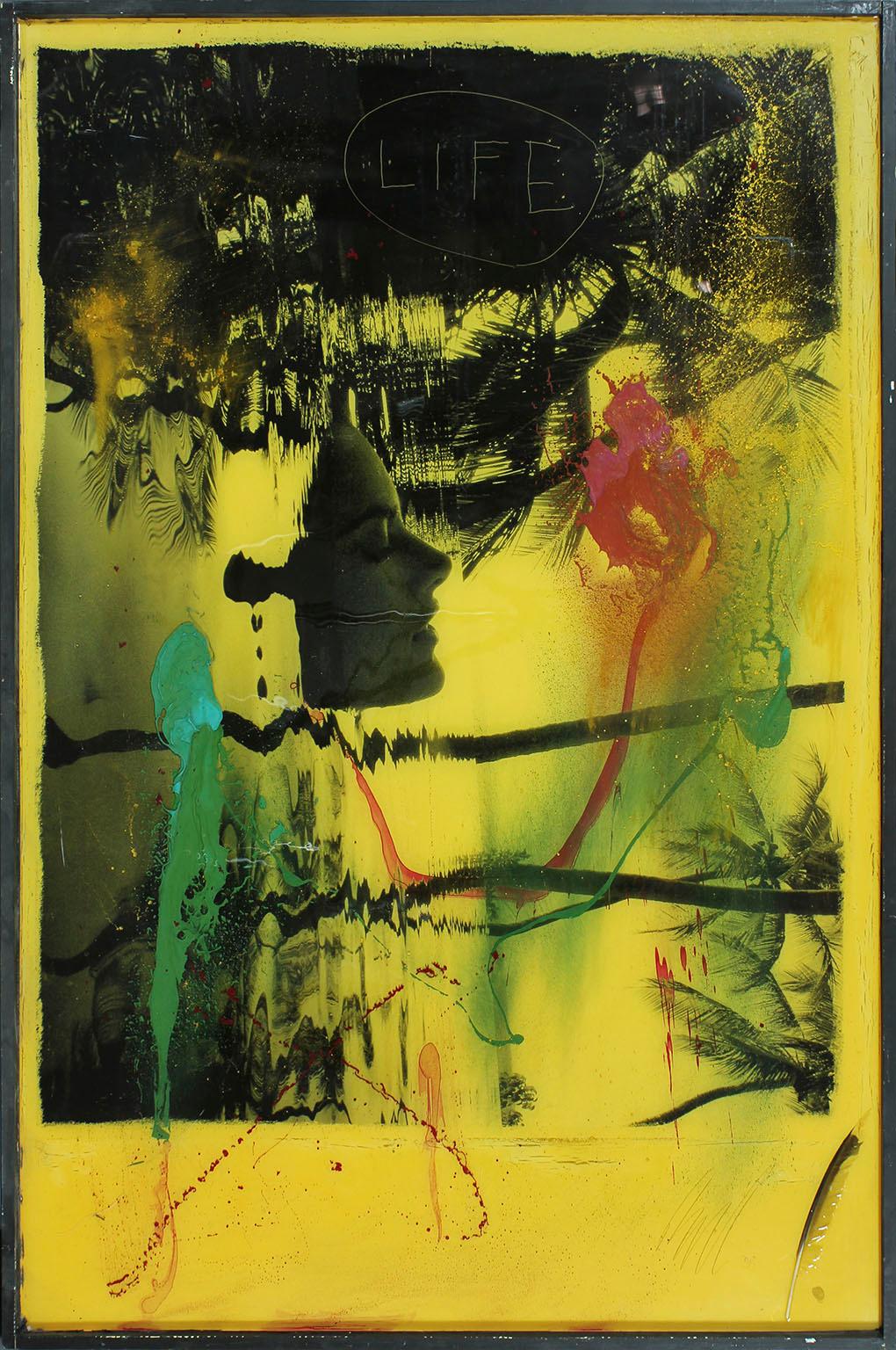 "Miami Life" de Raphael Mazzucco. Tirage d'archives et techniques mixtes, y compris une plume, enrobés dans de la résine et encadrés dans un cadre rustique. Signé au recto dans le coin inférieur droit. 