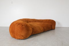 Raphael Raffel Designed Cognac Leather Croissant Sofa in Suede