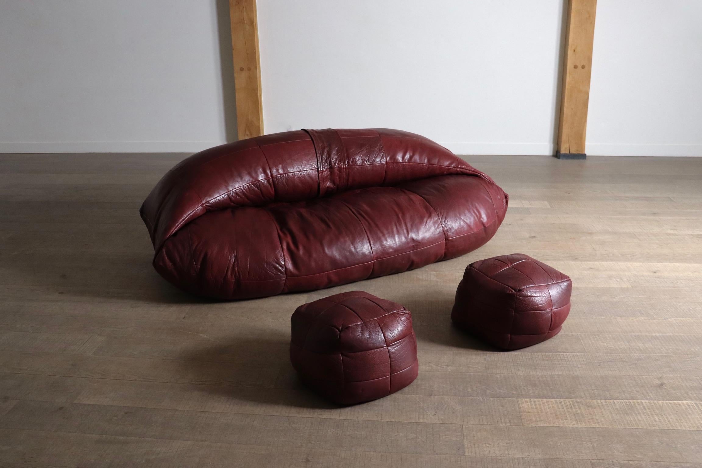 Raphael Raffel Leather Lounge Sofa Honore Paris 1970s 12