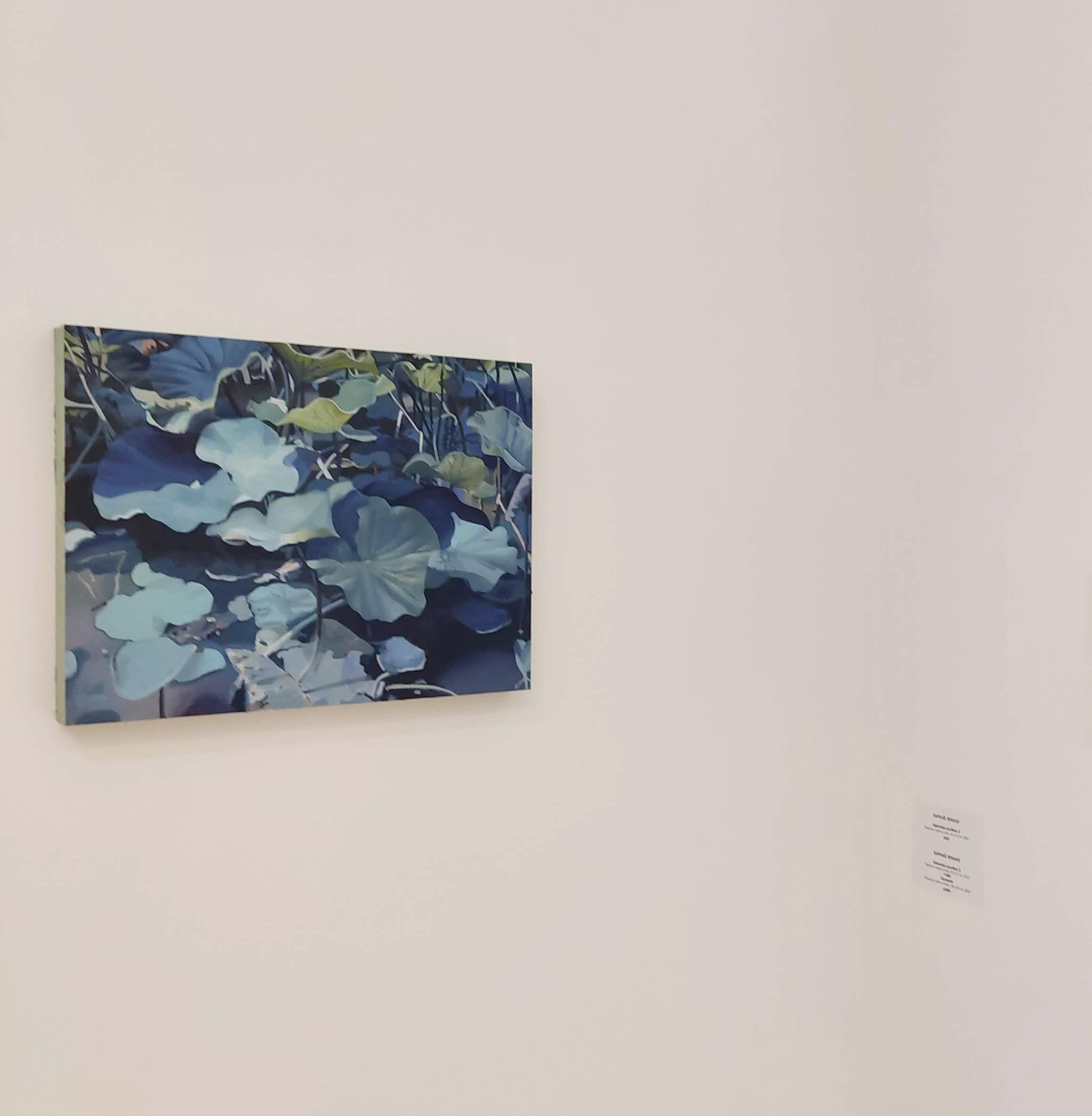 Nelumbo nucifera 2 - Original-Ölgemälde, Wasserlilien, blau, Frankreich – Painting von Raphaël Renaud