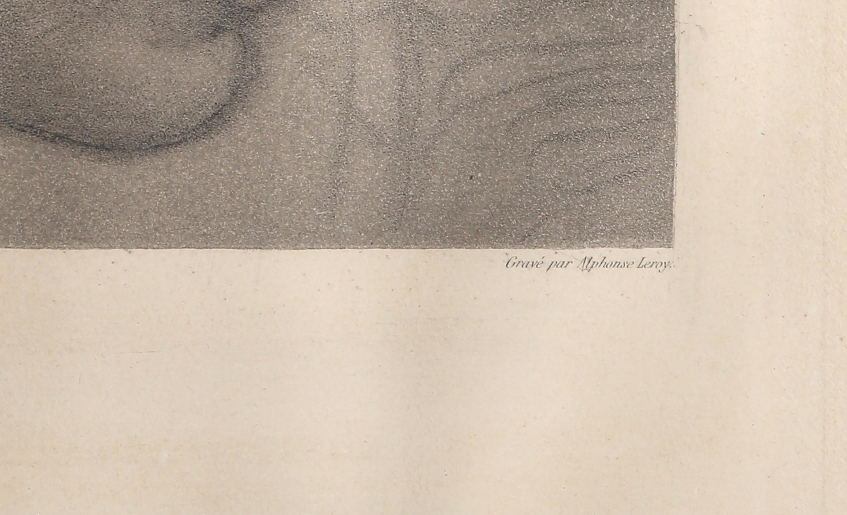 Heliodrorus, Gravure des Maîtres anciens d'après Raphael Sanzio da Urbino en vente 1