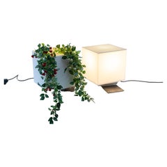 Rare Pair of Lamps and Flower Vase Cube Light by Studio OPI for Cini&Nils