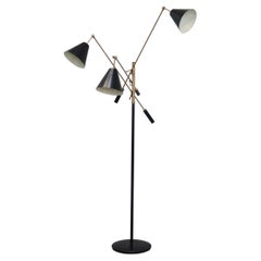 Floor Lamps