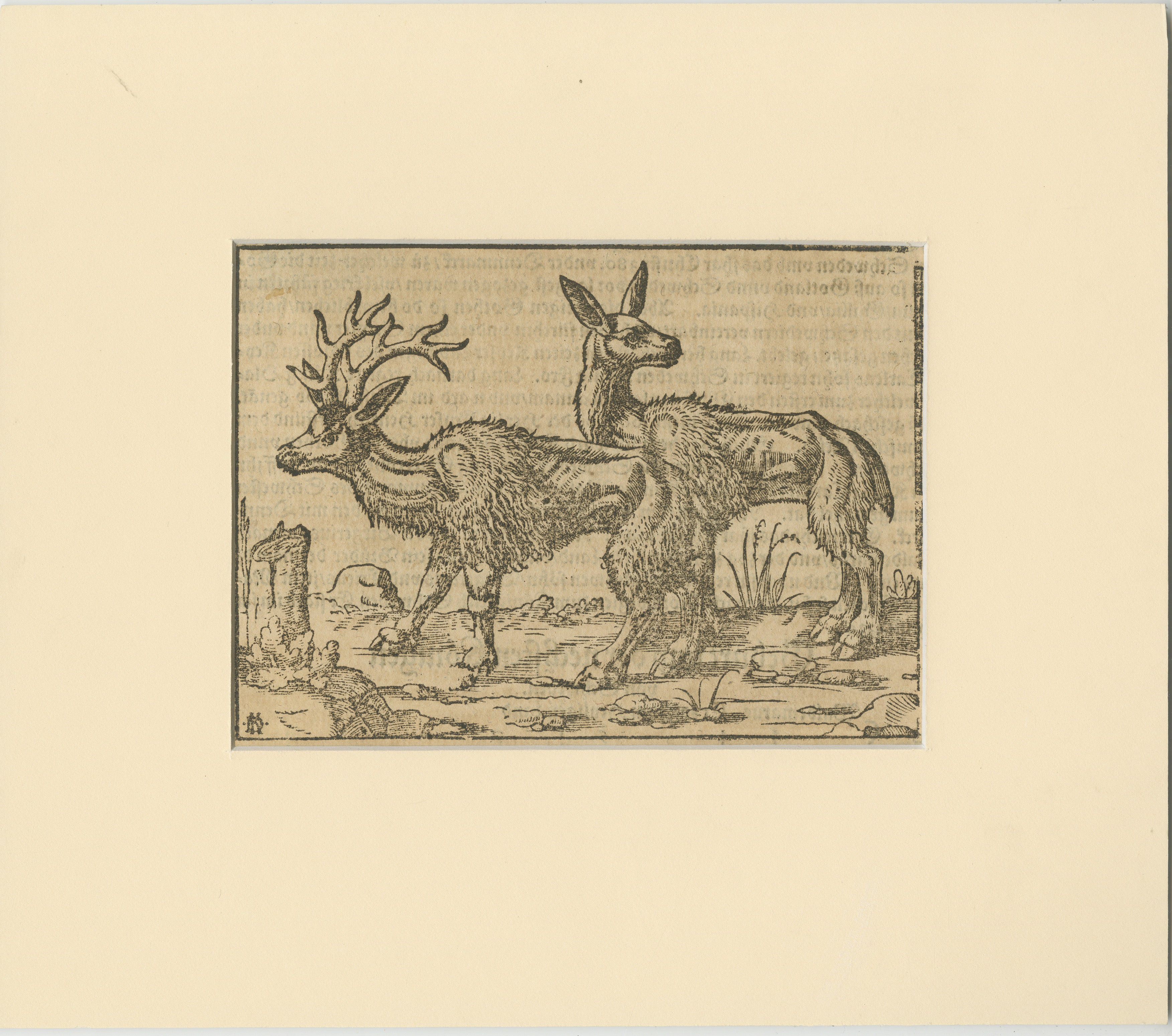 Titel: Seltener Holzschnitt eines Hirsches von 1592 aus Sebastian Münsters 