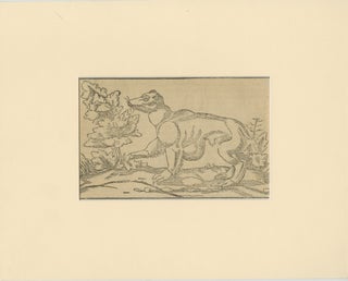 Rare 1592 Woodcut of Exotic Animal from Sebastian Münster's "Cosmographia", view 2