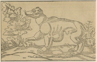 Rare 1592 Woodcut of Exotic Animal from Sebastian Münster's "Cosmographia", view 4