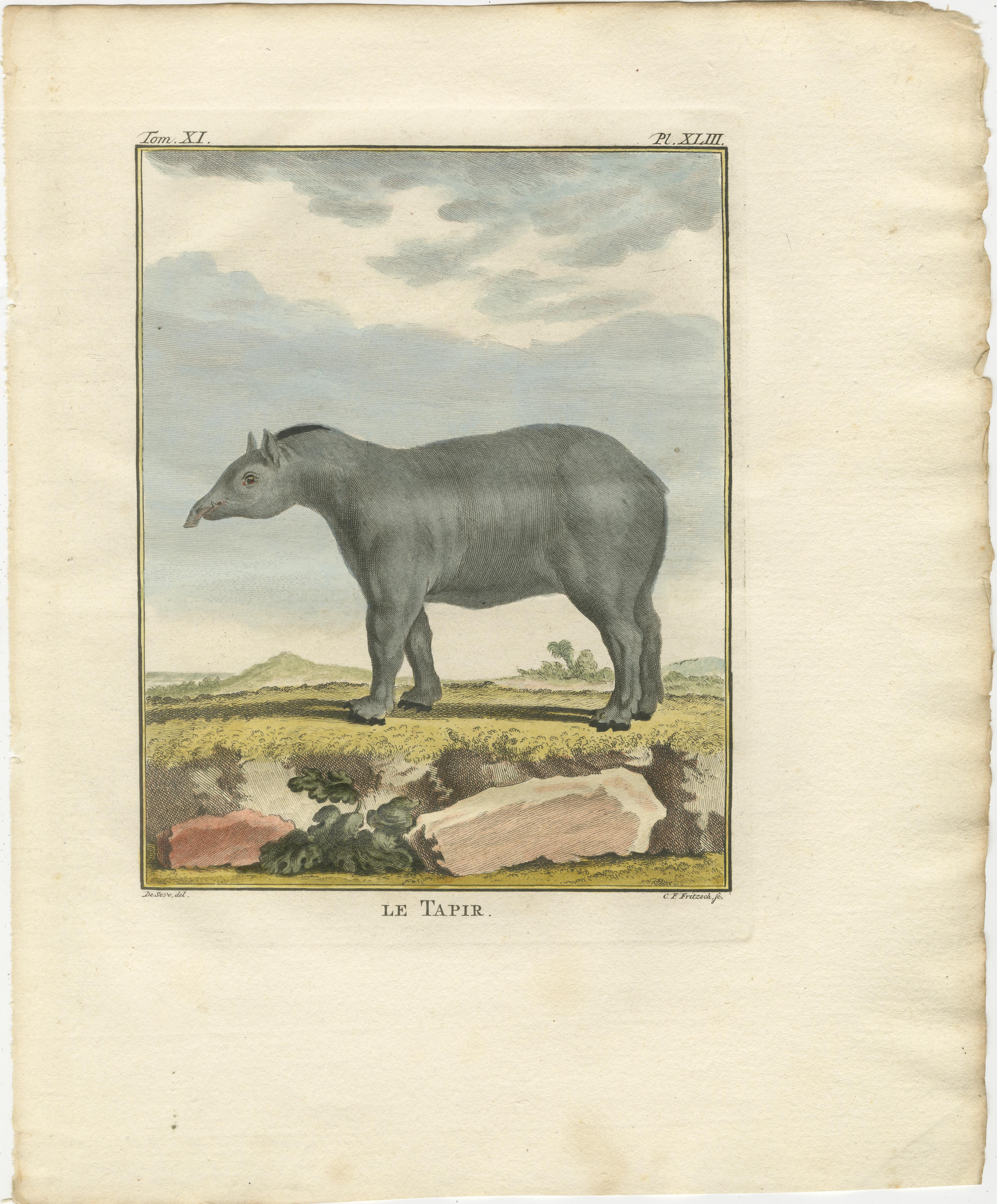 Seltenes Tapir Trio von 1769 - Handkolorierte Buffon-Stiche aus der Amsterdamer Ausgabe

Dieses hervorragende Tapir-Set mit drei Tafeln stammt aus der niederländischen Ausgabe von Buffons Histoire Naturelle von 1769, einem der einflussreichsten