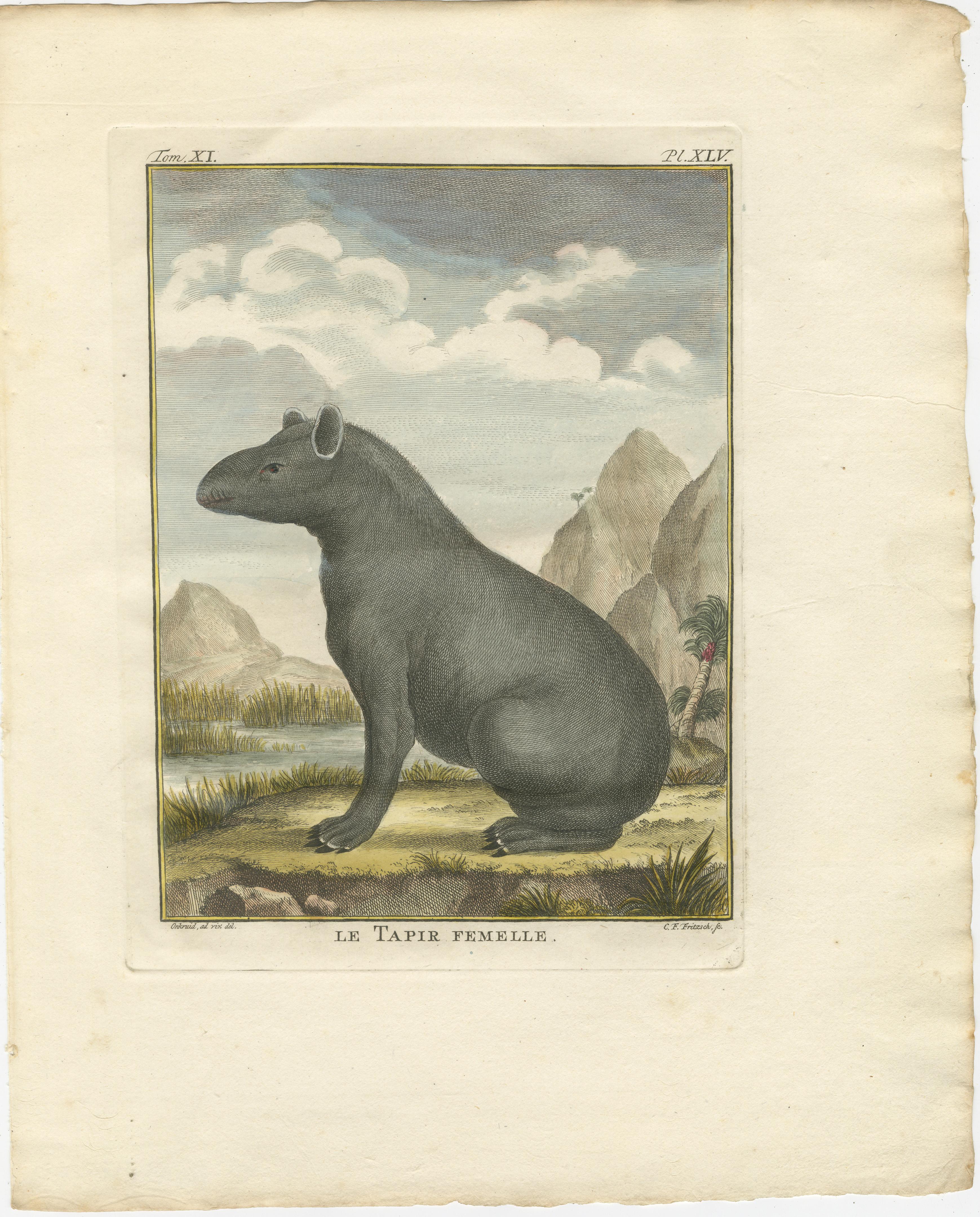 Seltenes Tapir Trio von 1769 - Original handkolorierte Buffon Stiche (Graviert) im Angebot