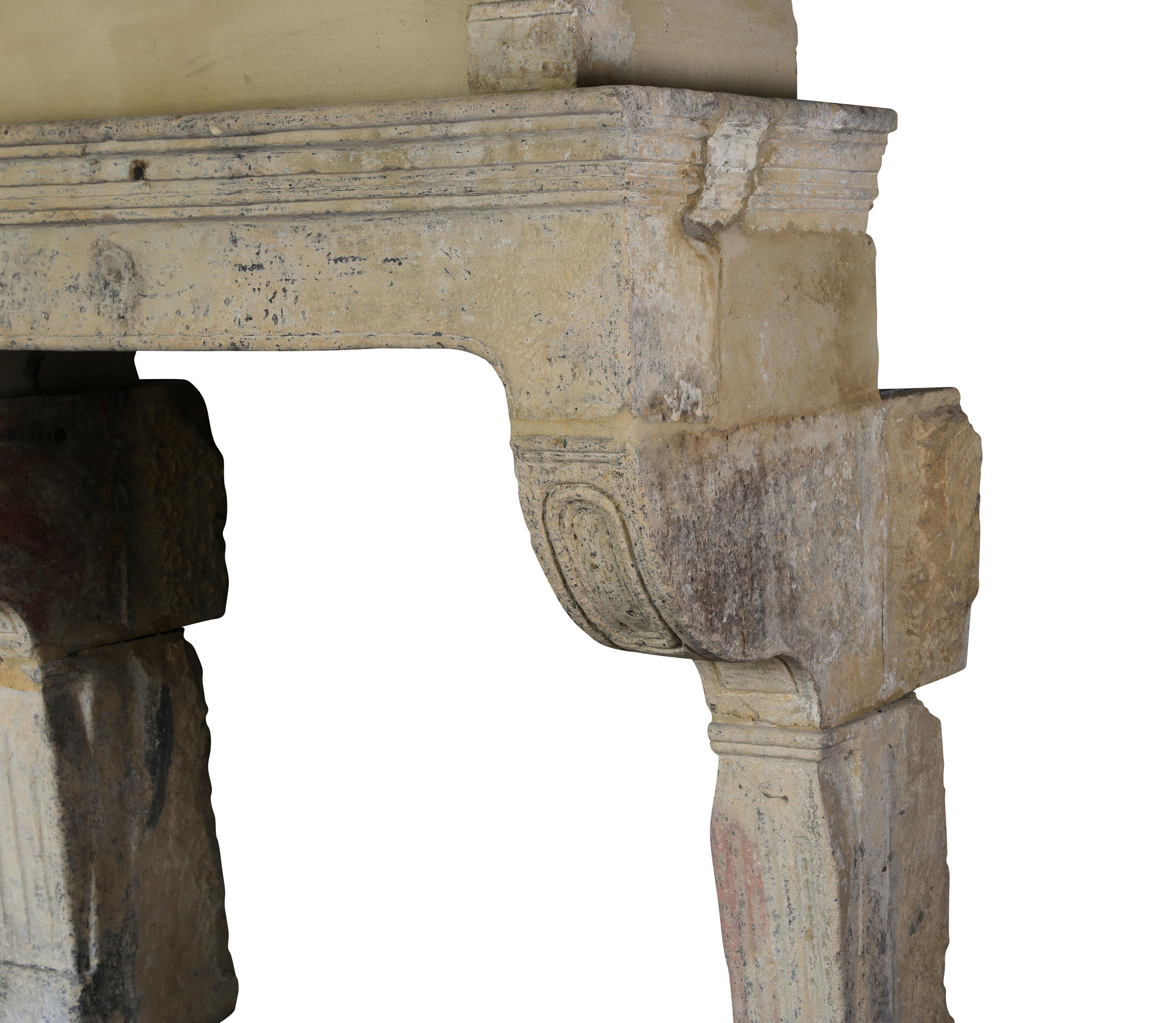 Rare 17th Century French Country Style Limestone Fireplace Mantle with Trumeau For Sale 3