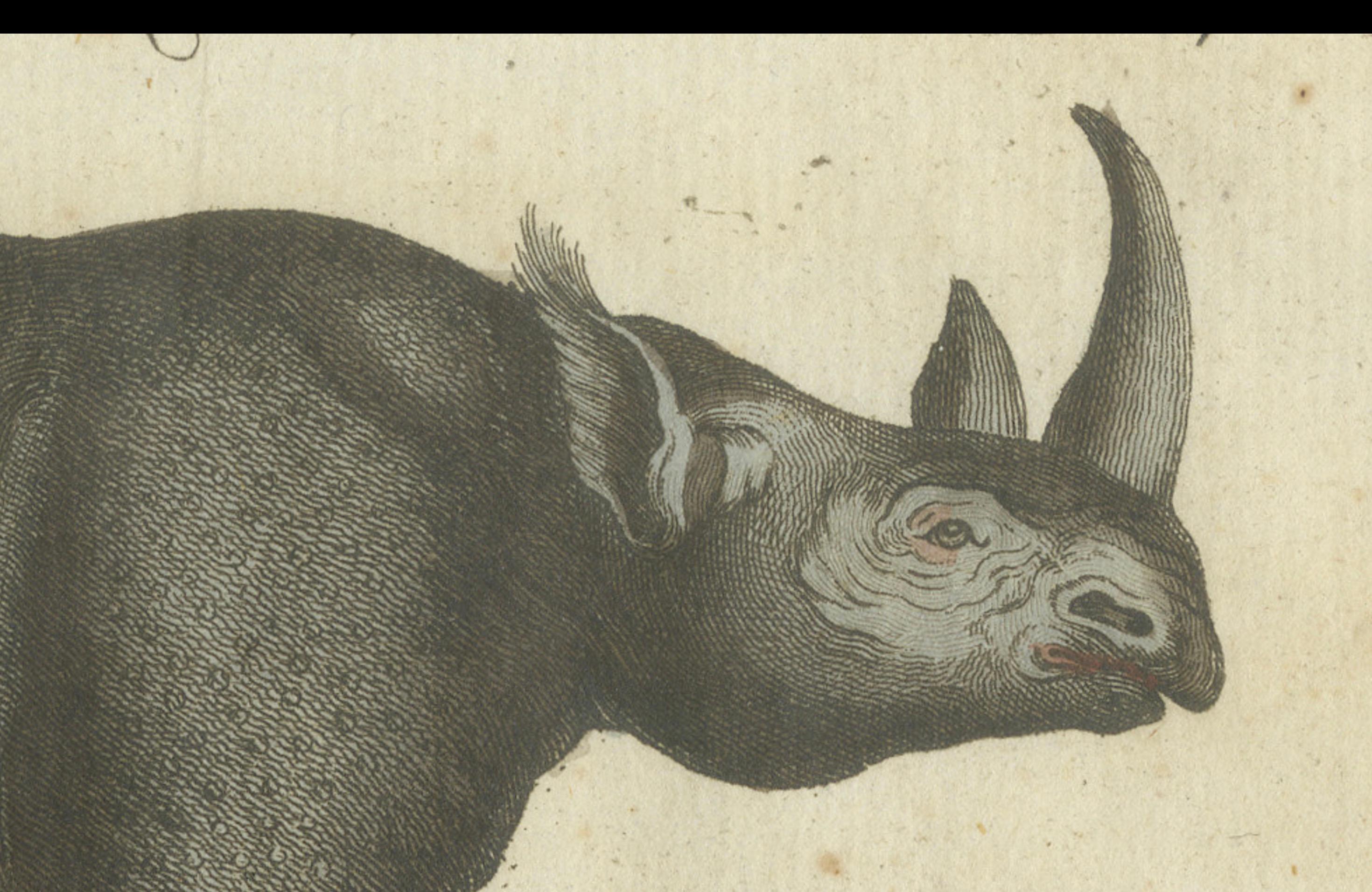 Seltene handkolorierte Gravur von schwarzen und Sumatran Rhinoceroses aus dem Jahr 1805 (Graviert) im Angebot