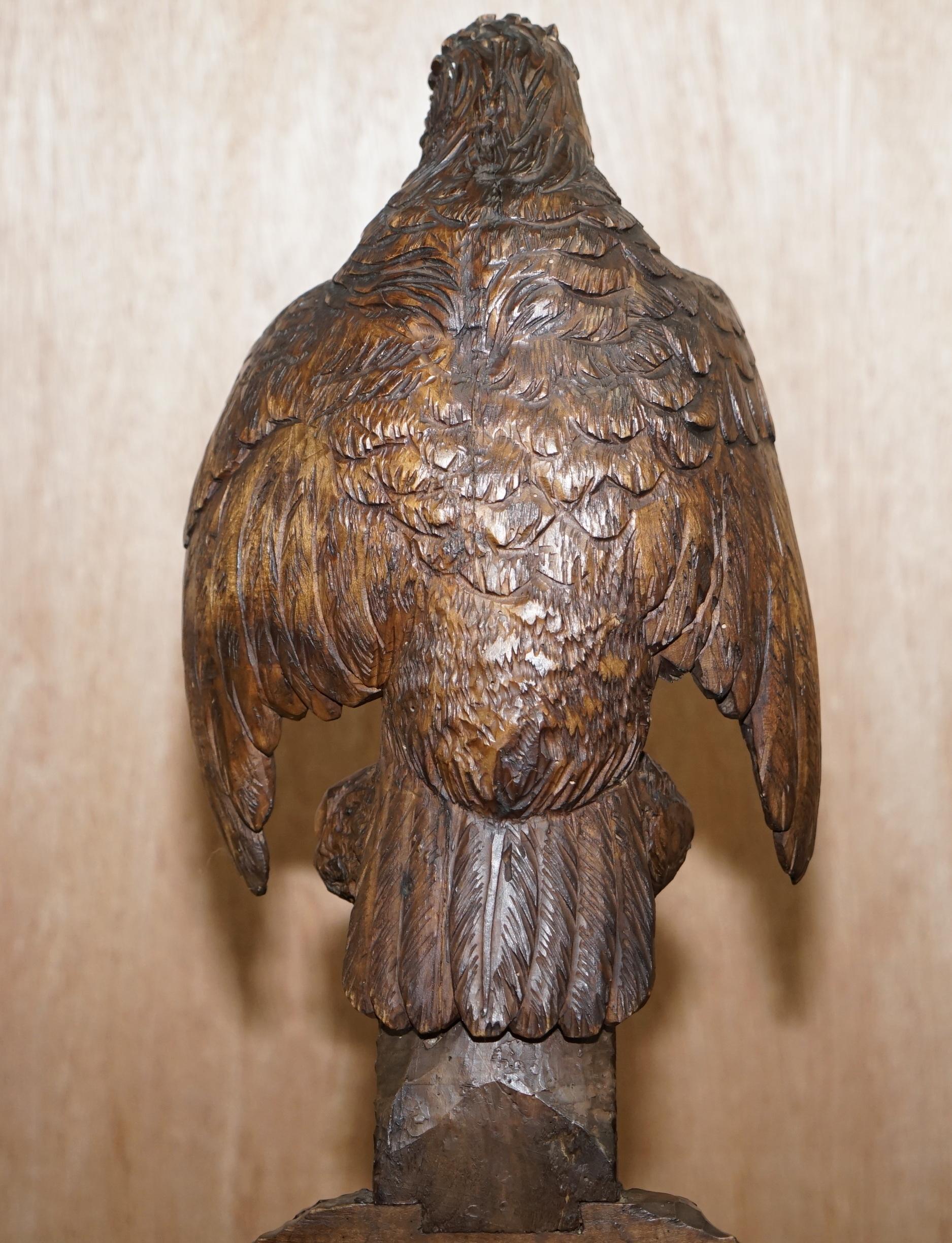 Rare 1880 American Eagle Black Forest Wood Carved Coat Hat & Umbrella Rack Stand For Sale 11