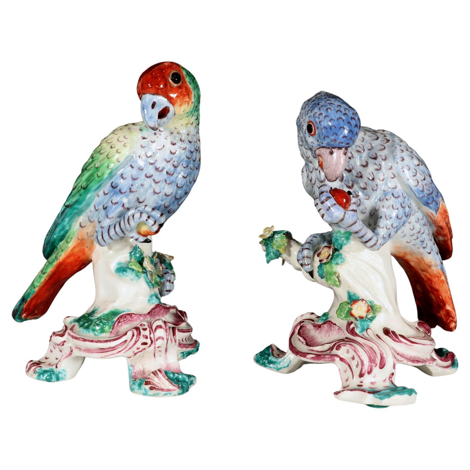 Seltene Bow Porcelain Figuren von südamerikanischen Papageien aus dem 18. Jahrhundert