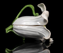Rare 18th Century Meissen Porcelain Covered Box in the form of a Lily Flower