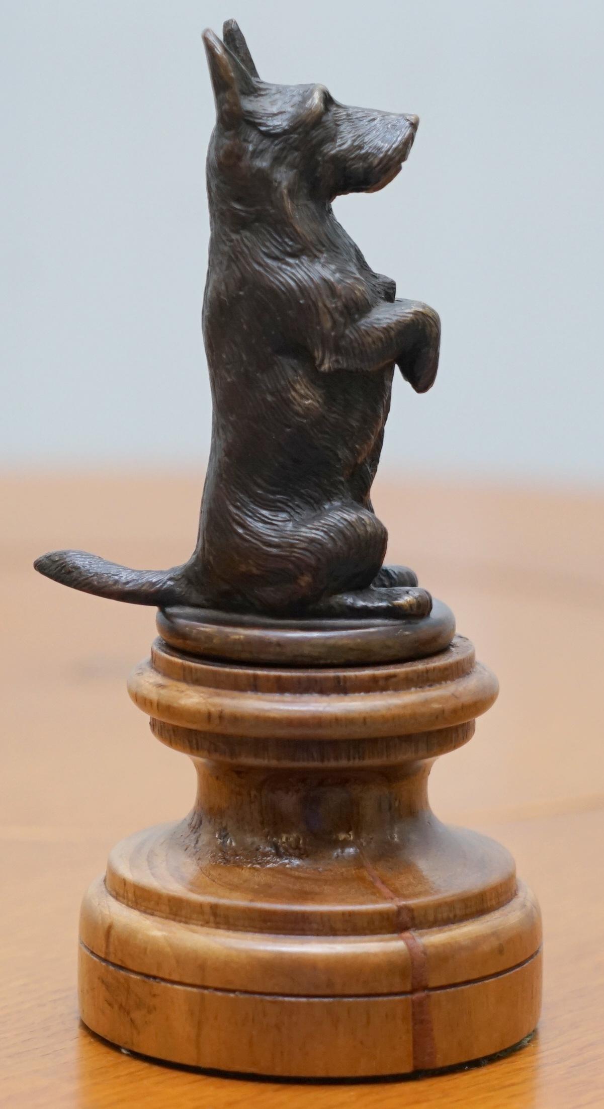 Rare 1920 Original Asprey London Solid Bronze Car Mascot of Begging Scottie Dog 7