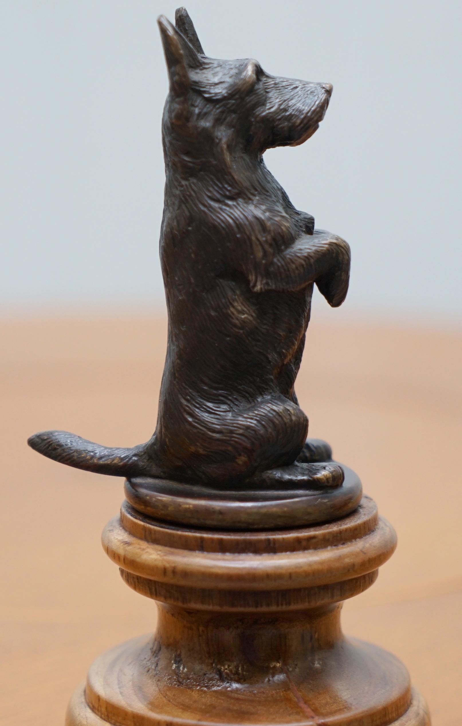 Rare 1920 Original Asprey London Solid Bronze Car Mascot of Begging Scottie Dog 7