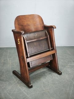 Rare 1920s Czech Art Deco Cinema Chair in Thonet Style