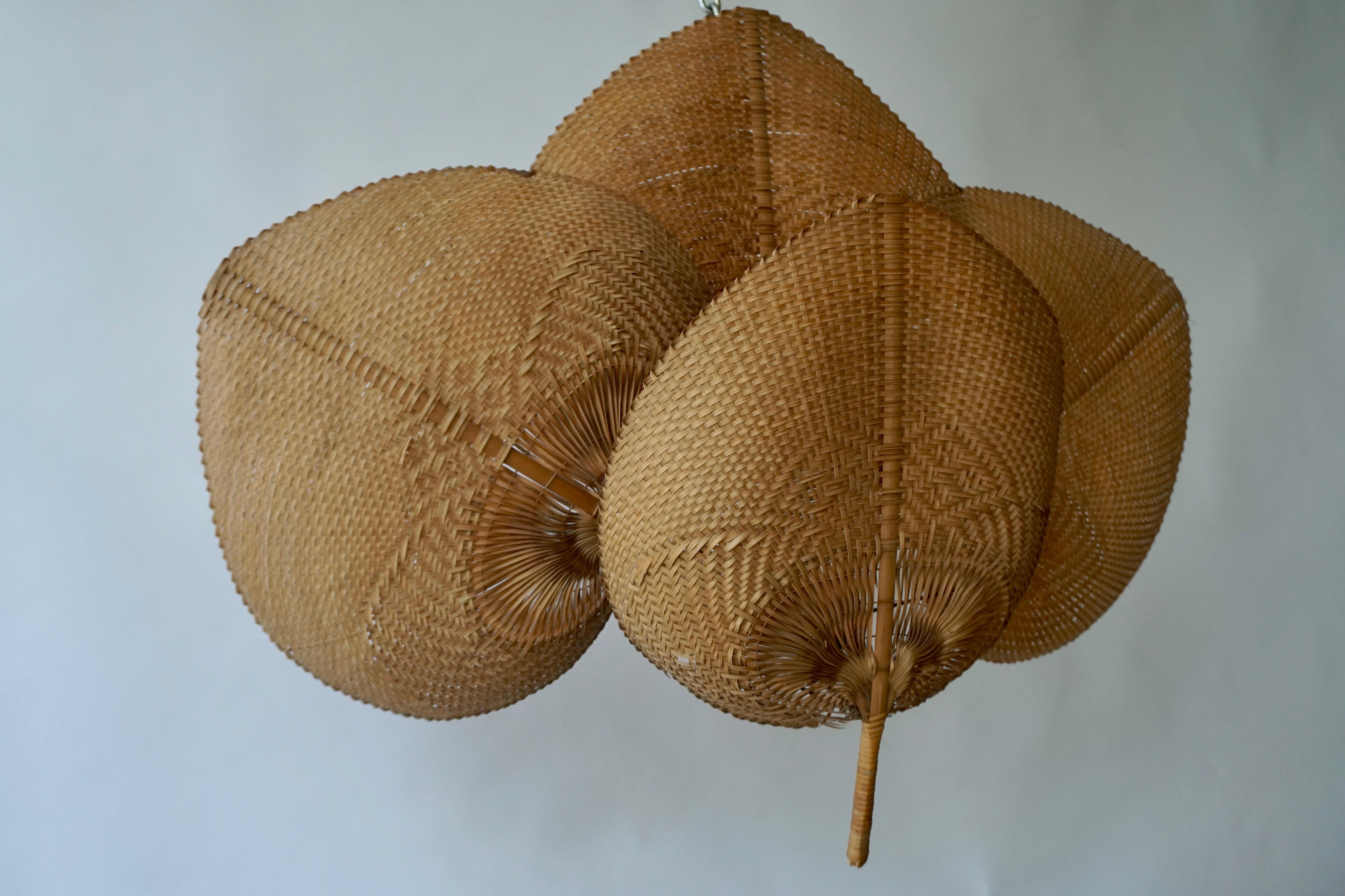 European Rare 1950s Wicker Wall Light