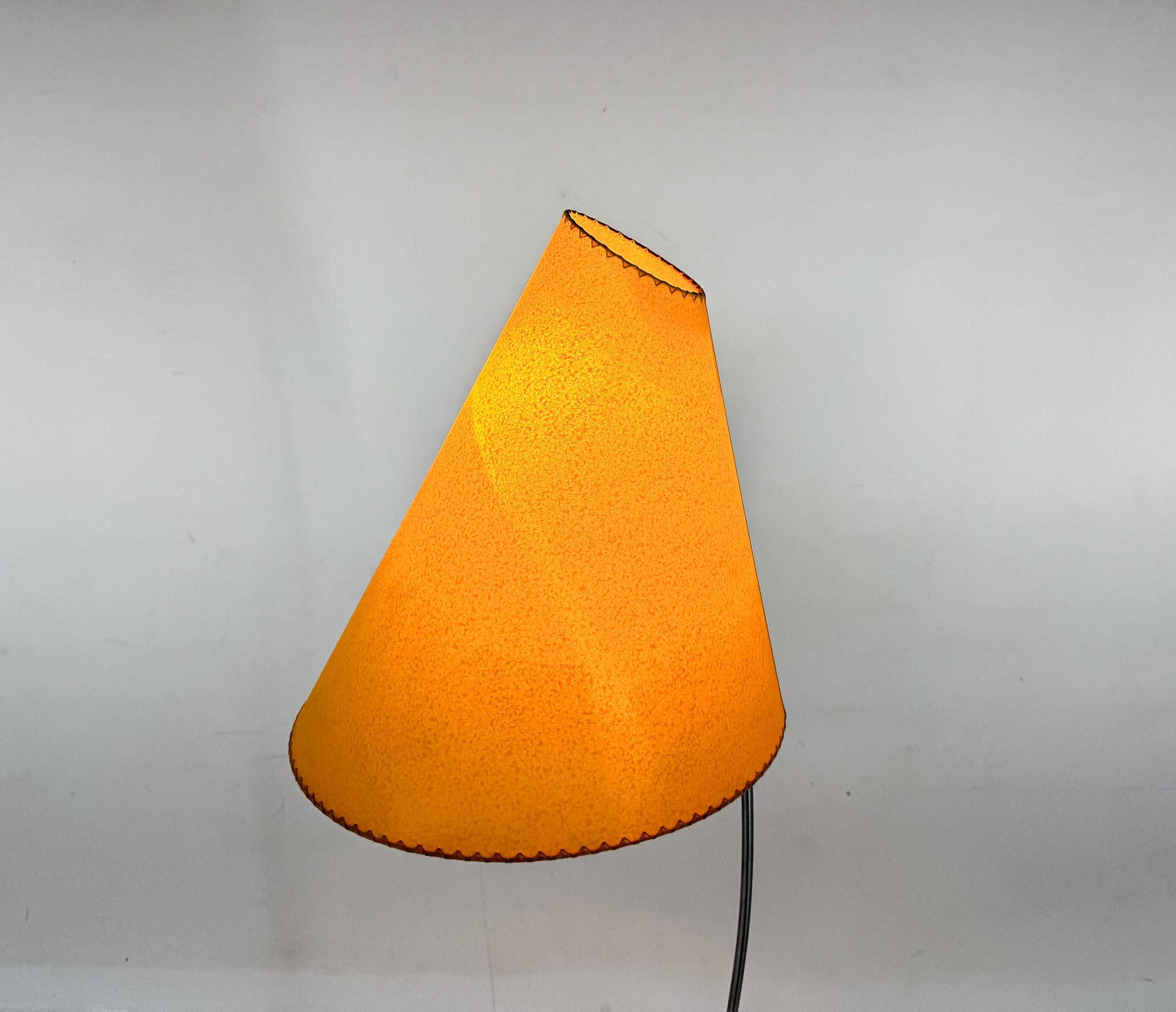 Rare 1960's Floor Lamp by Josef Hurka for Napako, Czechoslovakia For Sale 4