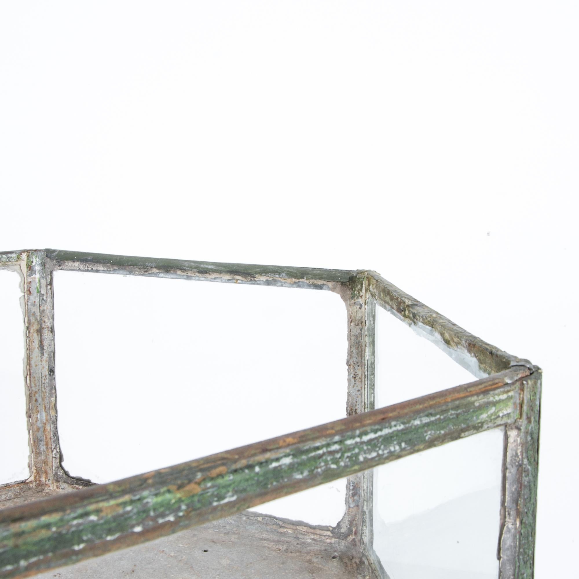 Rare 19th Century Aquarium on Wrought Iron Stand 2